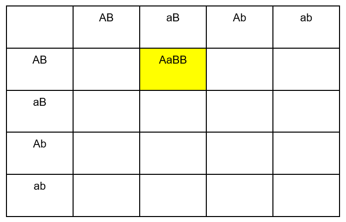 Fill first cell punnett square