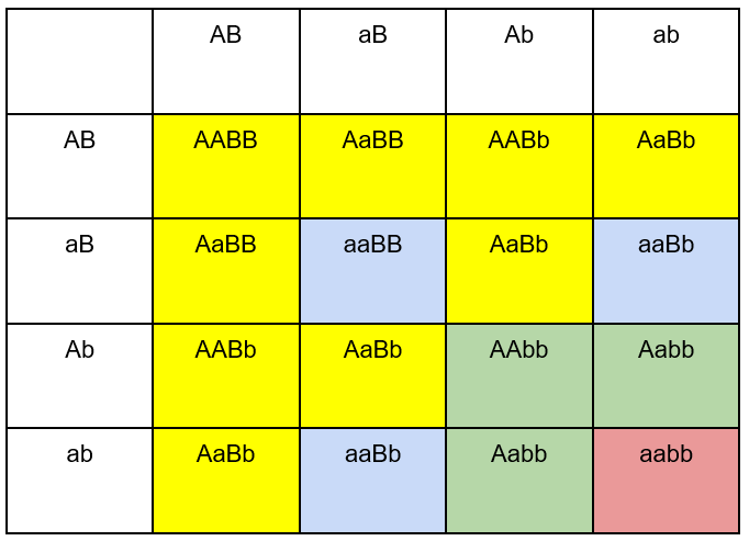 Phenotypic ratios box