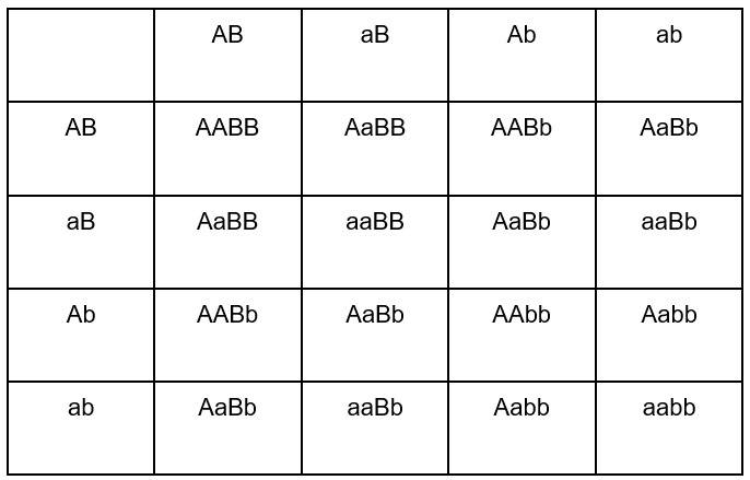 complete punnett square