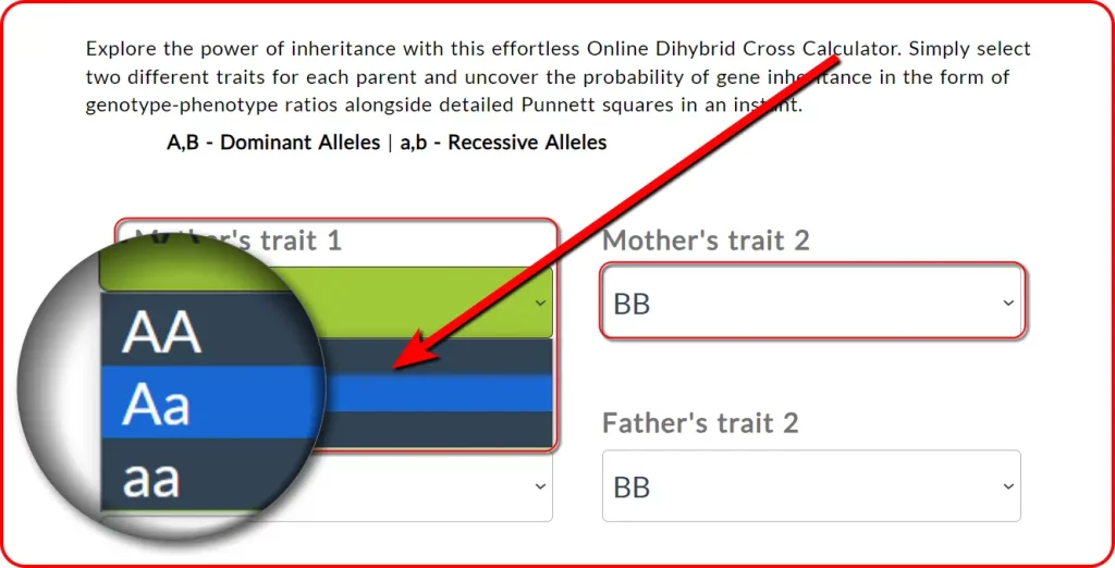 dihybrid cross